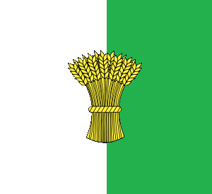 Arms Image: Per pale argent and vert, a garb or